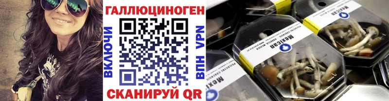 Галлюциногенные грибы Psilocybine cubensis  хочу наркоту  Лысково 